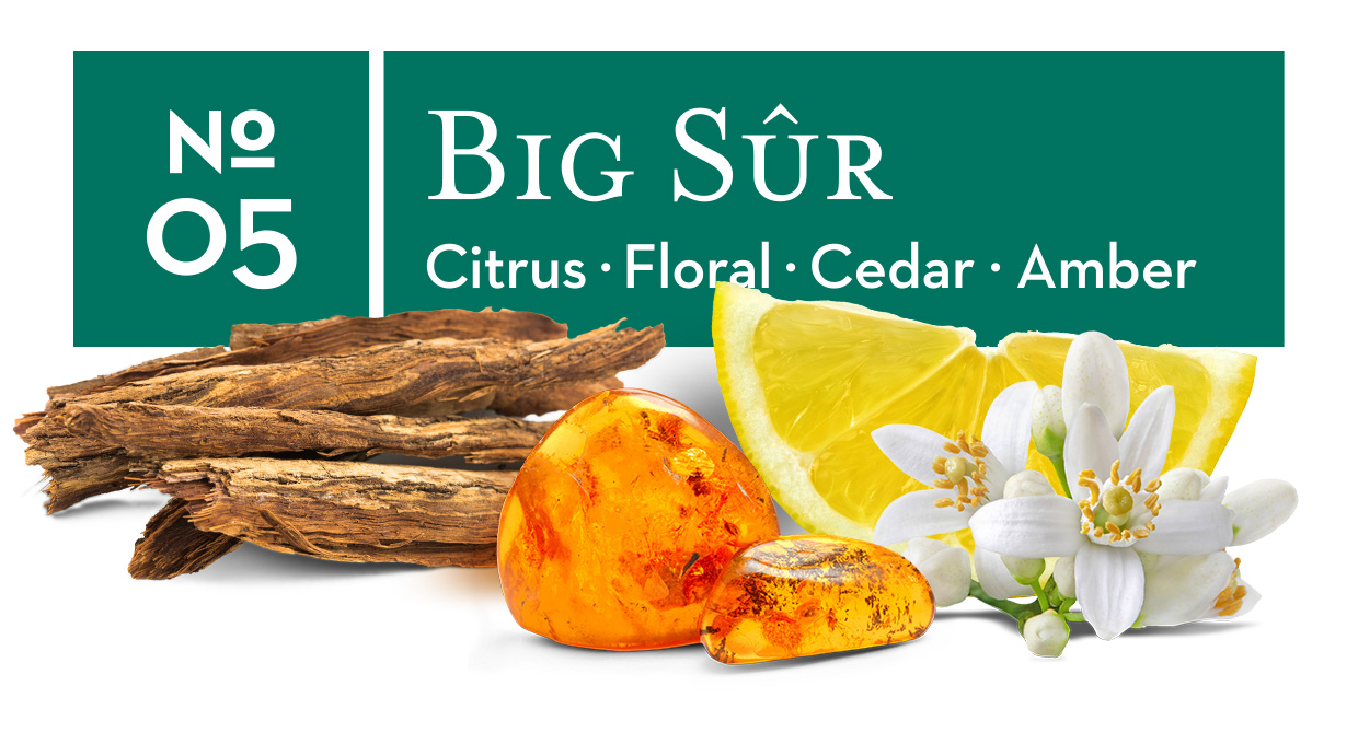 No. 05 Big Sûr - Citrus, Floral, Cedar, Amber
