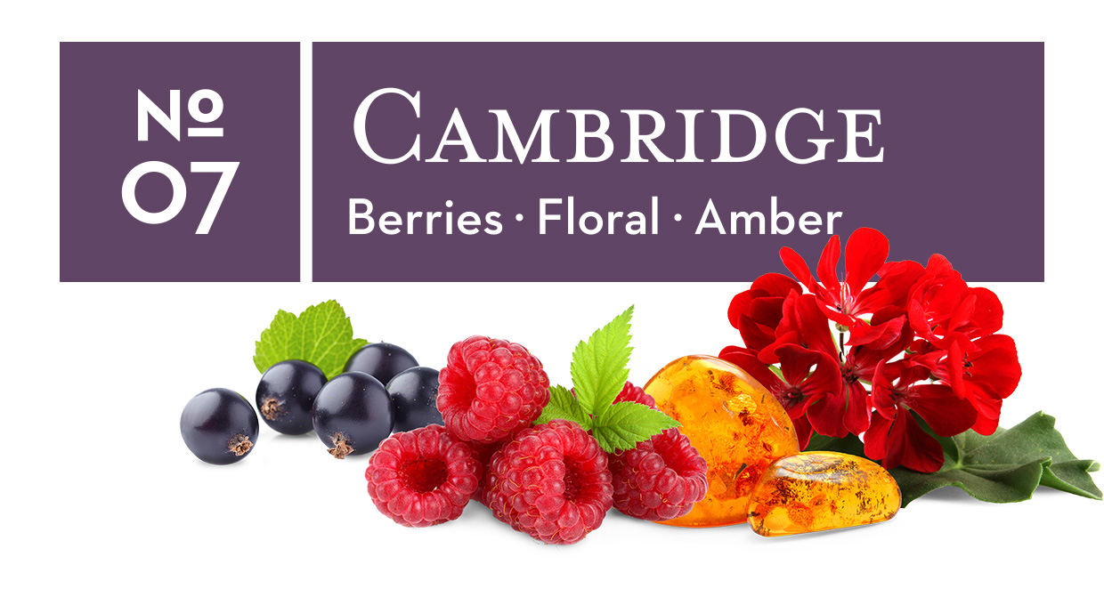 No. 07 Cambridge - Berries, Floral, Amber