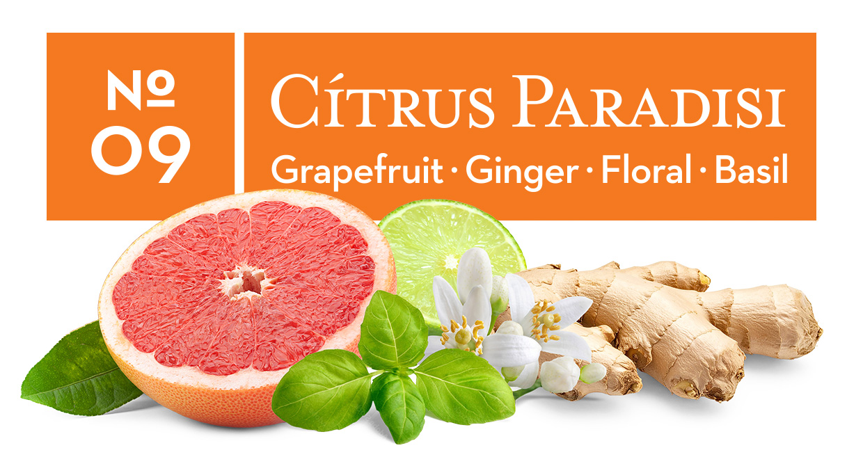 No. 09 Cítrus Paradisi - Ginger, Floral, Basil